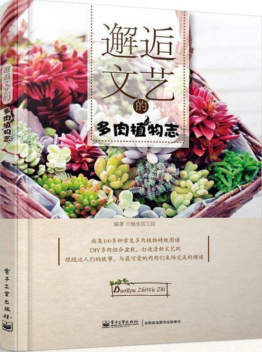 邂逅文艺的多肉植物志