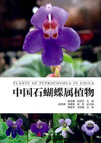 中国石蝴蝶属植物