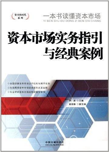 资本市场实务指引与经典案例——资本的时代系列
