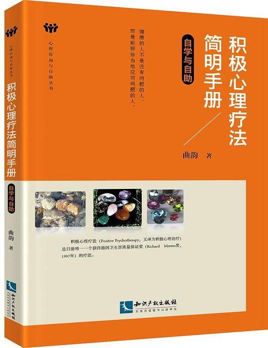 积极心理疗法简明手册