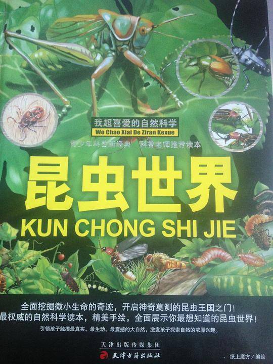 我超爱的自然科学-昆虫世界
