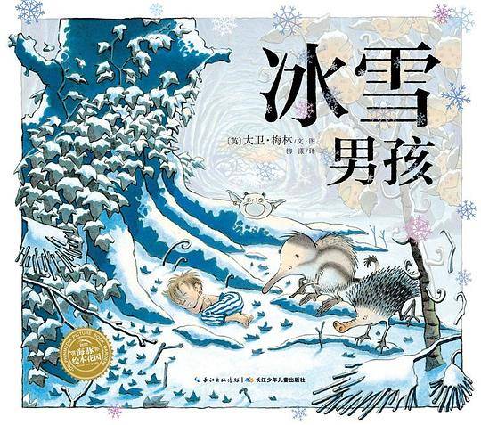 冰雪男孩