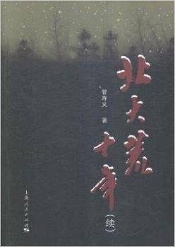 北大荒十年（续）