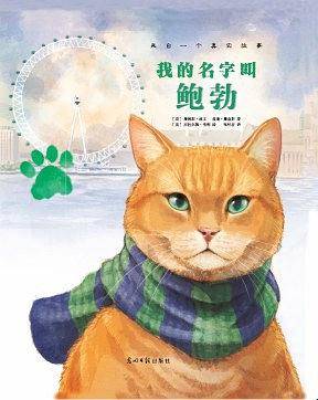 我的名字叫鲍勃