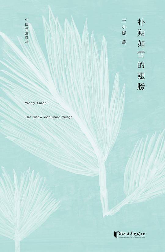 扑朔如雪的翅膀