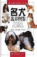 名犬选养图鉴