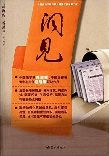 洞见
