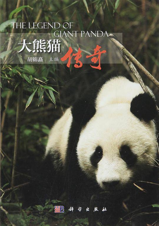 pod-大熊猫传奇