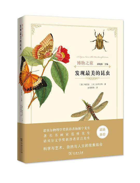 发现最美的昆虫