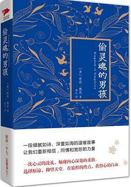 偷灵魂的男孩
