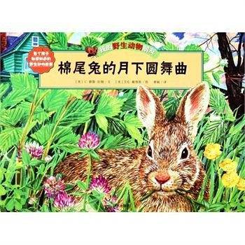 棉尾兔的月下圆舞曲-我的野生动物朋友