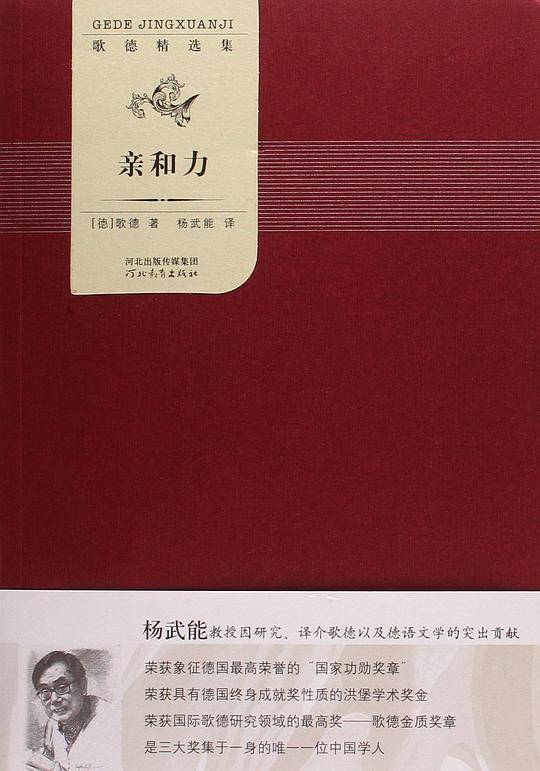 亲和力