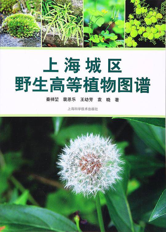上海城区野生高等植物图谱