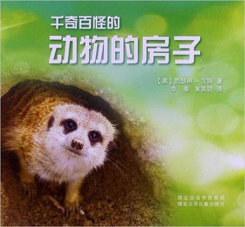 千奇百怪的动物的房子