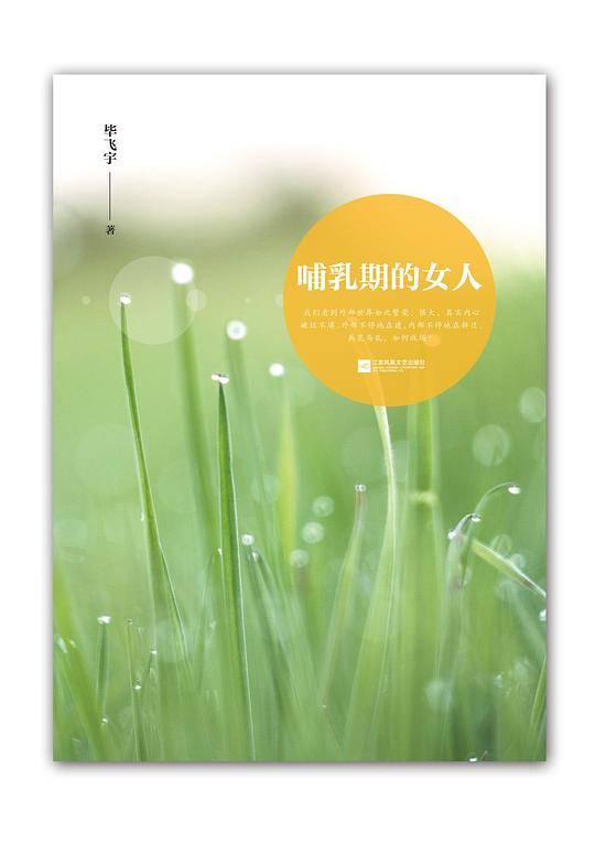 哺乳期的女人―鲁迅文学奖获奖者小说丛书