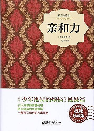 亲和力-插图典藏本