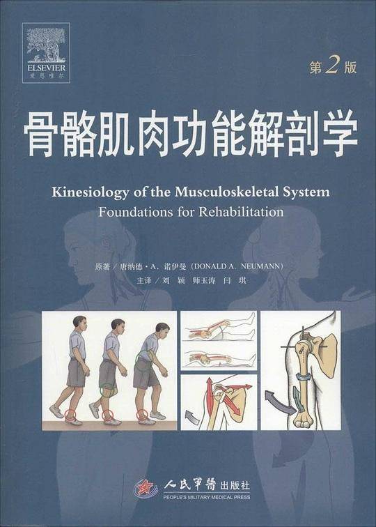 骨骼肌肉功能解剖学