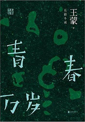 王蒙精选集：青春万岁