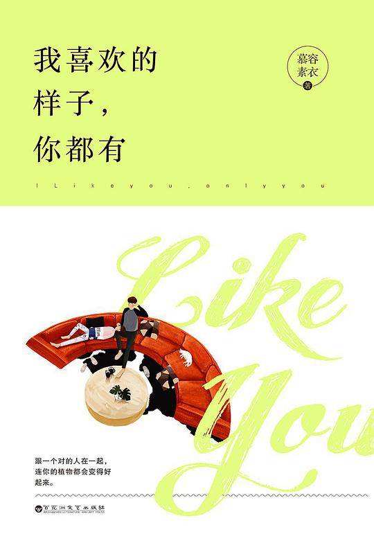 我喜欢的样子，你都有