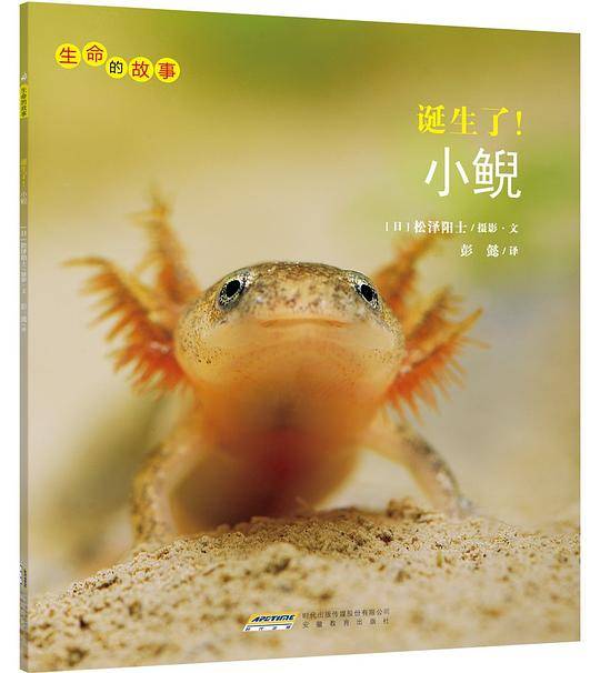 诞生了！小鲵