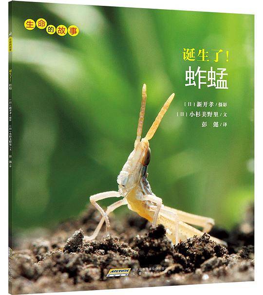 生命的故事：诞生了！蚱蜢