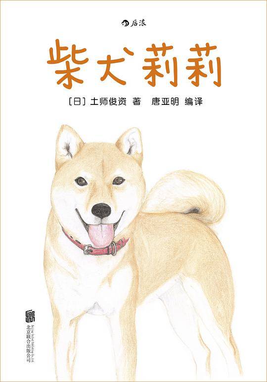 柴犬莉莉