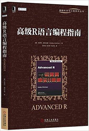 高级R语言编程指南