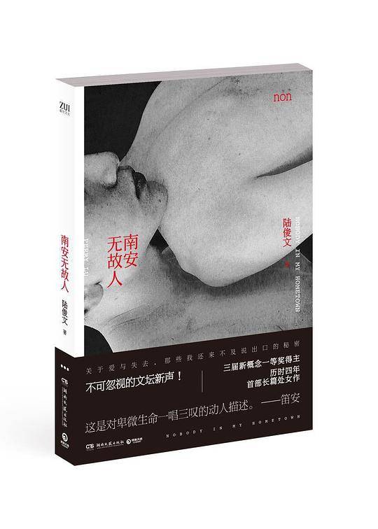 南安无故人