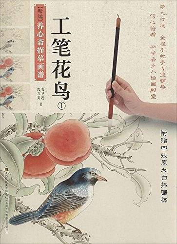 新编养心斋描摹画谱-工笔花鸟