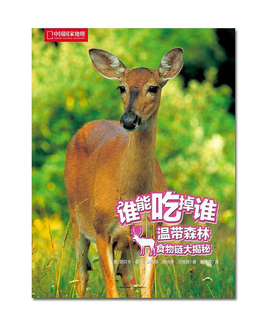 谁能吃掉谁 第2辑：温带森林食物链大揭秘