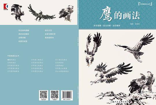 鹰的画法
