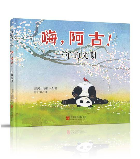 嗨，阿古！