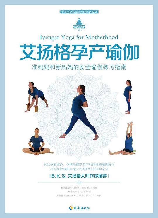 艾扬格孕产瑜伽[精装大本]