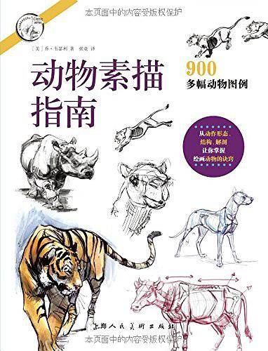 动物素描指南