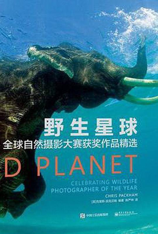 野生星球：全球自然摄影大赛获奖作品精选