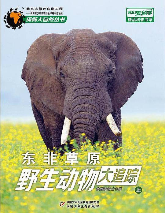 东非草原野生动物大追踪