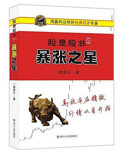 股是股非（之三）：暴涨之星