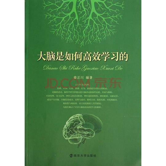 大脑是如何高效学习的