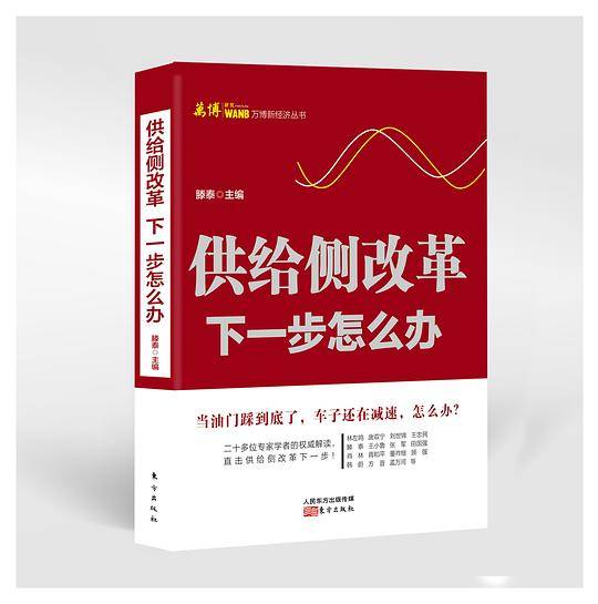 《供给侧改革：下一步怎么办》