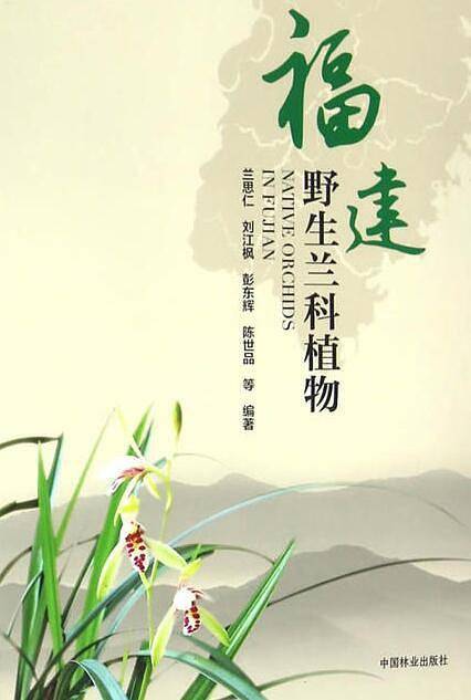 福建野生兰科植物