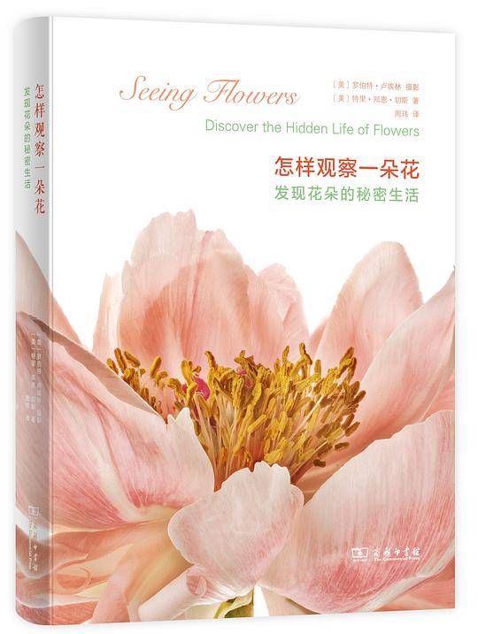 怎样观察一朵花