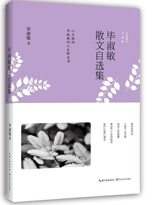 毕淑敏散文自选集