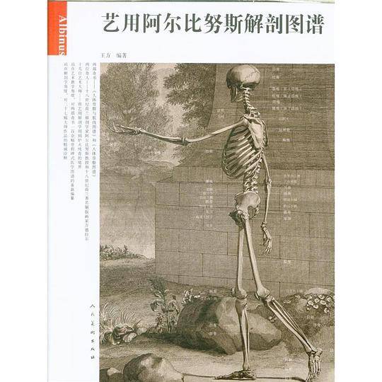 艺用阿尔比努斯解剖图谱