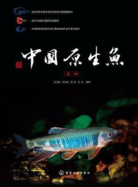 中国原生鱼
