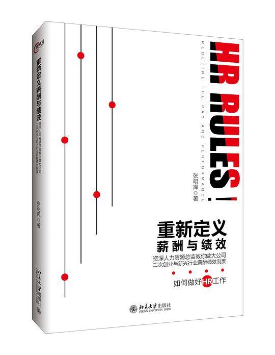 重新定义薪酬与绩效——资深人力资源总监教你做大公司二次创业与新兴行业薪酬绩效制度