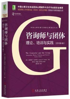 咨询师与团体：理论、培训与实践
