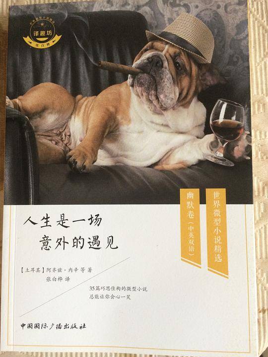 人生是一场意外的遇见