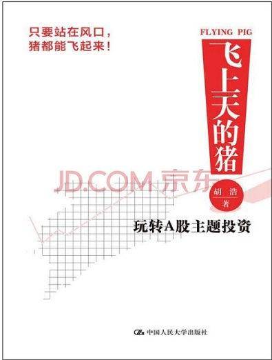 飞上天的猪：玩转A股主题投资