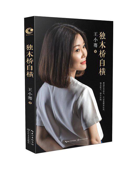 独木桥自横