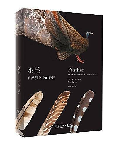 羽毛：自然演化中的奇迹
